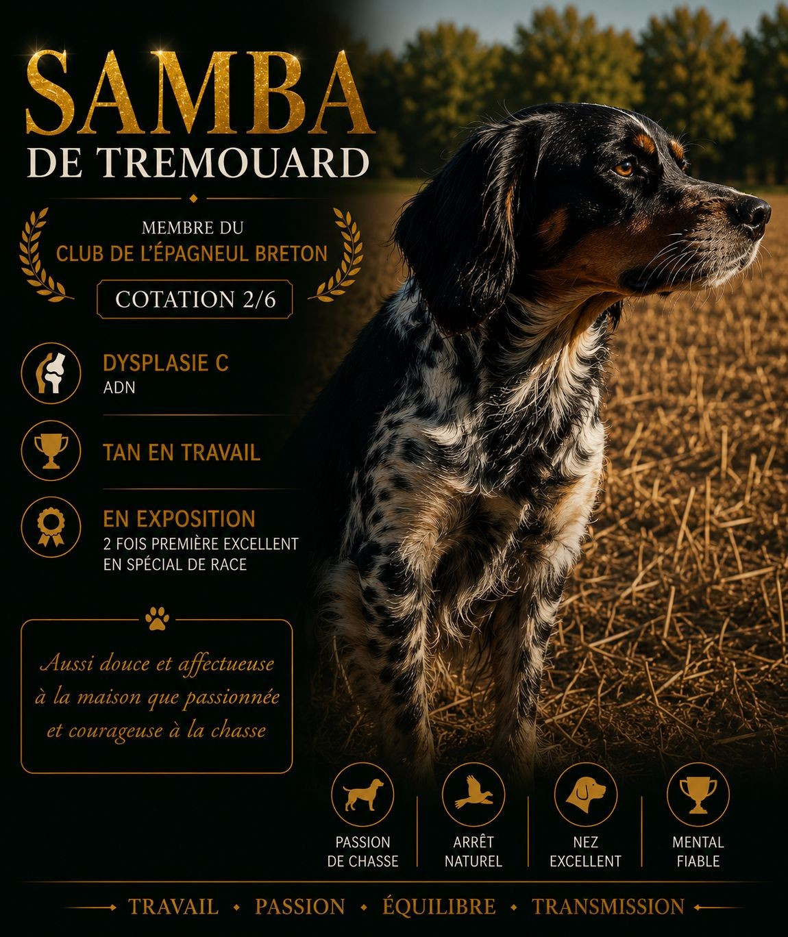 Samba De tremouard